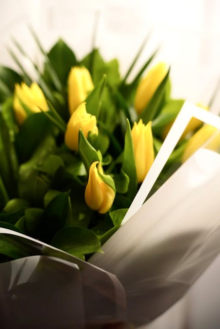 A bouquet of fresh yellow tulips with vibrant green leaves, arranged in a compact cluster. The tulips are in various stages of bloom, with some buds still closed while others are slightly opening, sho