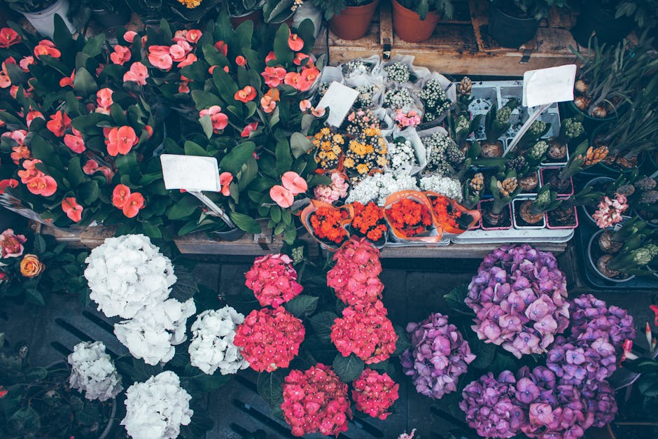 A vibrant display of flowers at Romford Market, featuring pink, white, and purple hydrangeas arranged in tight clusters with fresh, textured petals. To the left, there are rows of orange and white beg
