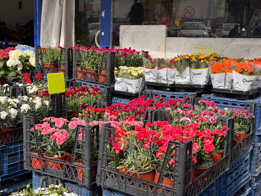 A variety of fresh flowering plants displayed outdoors on black plastic crates in front of a flower shop. Bright pink, red, white, yellow, and orange blooms are arranged in terracotta pots, with some